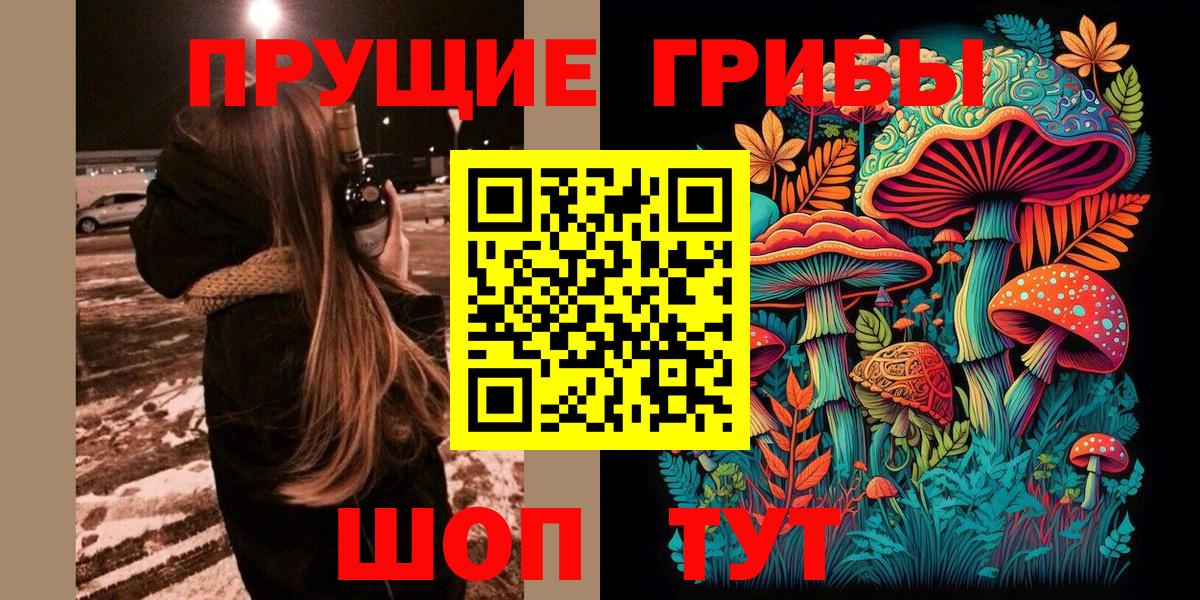 Псилоцибиновые грибы Magic Shrooms  Вход с VPN  Галлюциногенные грибы мухоморы  сколько стоит  Мценск 